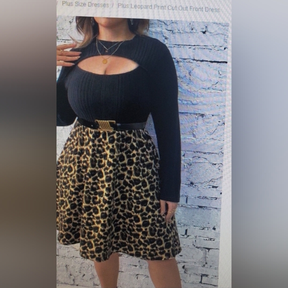 SHEIN Black and Leopard A-Line Dress - Picture 1 of 2